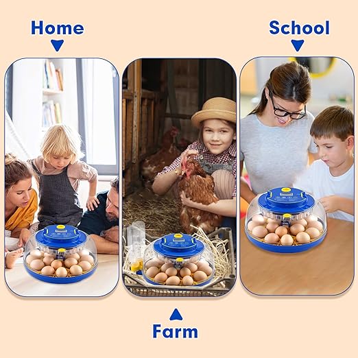 18 Egg Incubator Automatic Egg Turner Temperature & Humidity Control, Incubators for Hatching Eggs, Chicken, Ducks, Goose, Pigeon, Quail, Parrot Incubator Farm,Lab,Science Classroom,Home (Blue-18 Egg) - Image 7