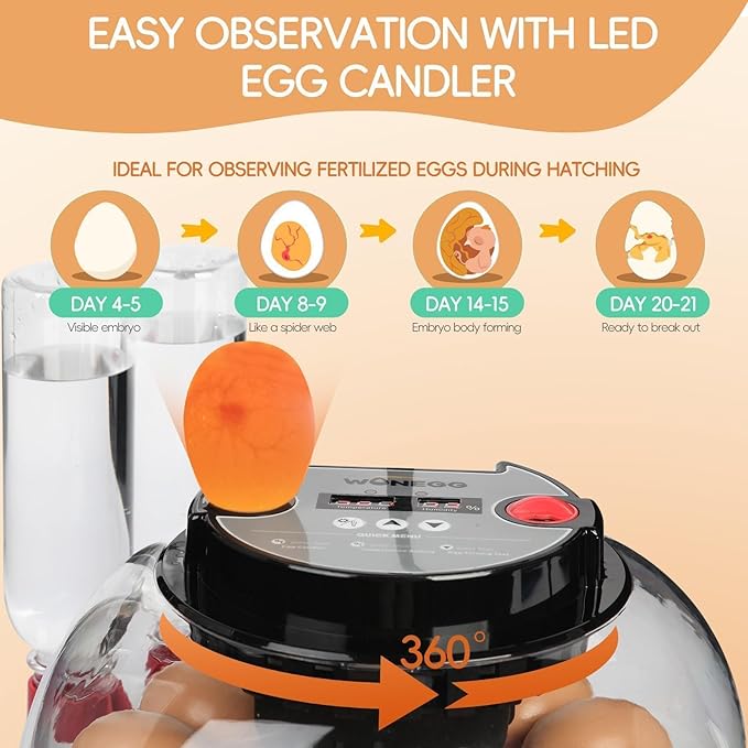 Simple Plus 12-Egg Incubator for Beginners, Full-Stage Adaptive Humidity (Dual-Bottle) & Temp Control, Auto Egg Turn, Real-Time Display, Candler for Hatching Poultry Eggs - Image 5