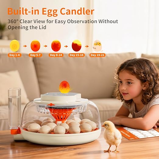 18 Egg Incubator, 2 Egg Trays, Automatic Egg Turning with Auto Stop, Humidity Control, Adjustable Incubation Day & Period, Auto Water Refill, for Chicken, Quail, Duck & Turkey Eggs, APDOE HatchPro 18 - Image 6