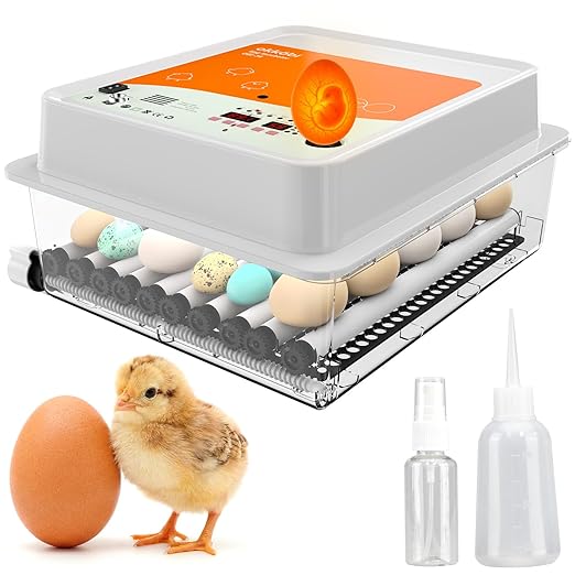OBI-36 Egg Incubator for Hatching - 36 Eggs - Stable Temperature & Humidity Control with Eggloo Insulation, Candler - Ideal for Families and Farms - Suitable for Chicken, Duck, Quail Eggs - Orange by OKK%C3%96BI