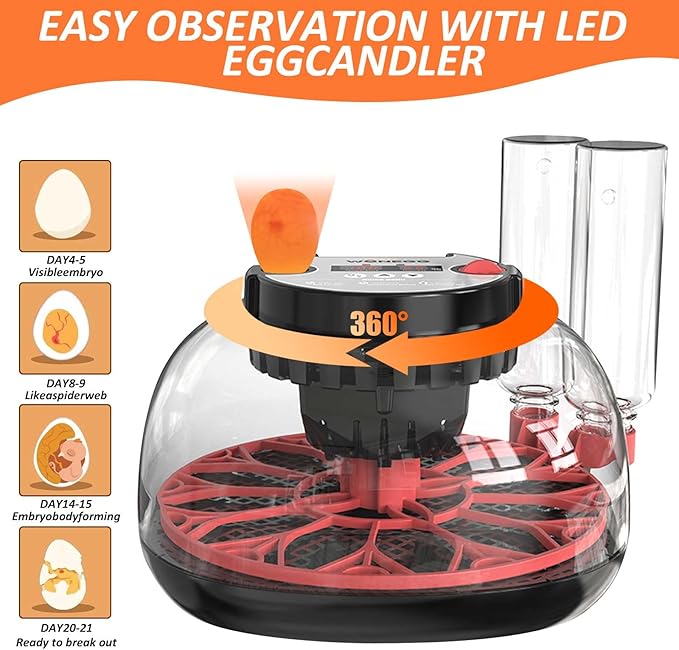 Egg Incubators for Hatching Eggs, Incubator for 12 Eggs Automatic Turning with Temperature Control+Humidity Display+Automatic Water Filling - Home Incubator for Quail Chicken Duck Pigeon - Image 2