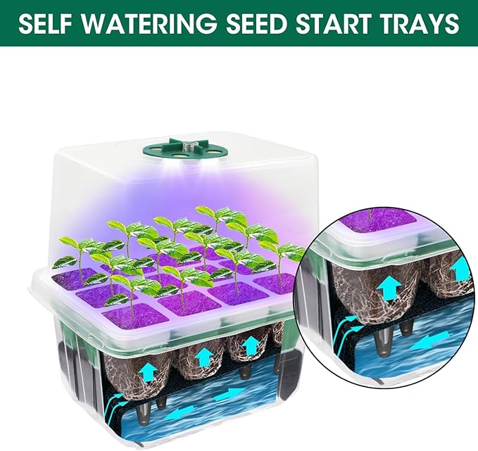 Seed Starter Tray with Grow Light,5 Pack 60 Cells Seedling Tray Kit Reusable & Dishwasher Safe for Starting Vegetable, Flower & Herb Seeds Indoor Grow Kit for Deep-Rooted Seedlings - Image 6