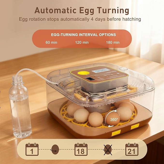 2026 New Auto 12-Egg Incubator for Beginners, Automated Incubation, Sensor-Based Precise Humidity & Temp Control, Custom-Interval Auto Turn & Auto Stop, Preset Incubation Days, Candler - Image 6