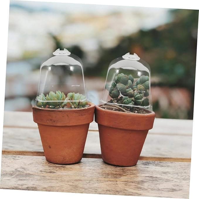 10pcs Transparent Greenhouse Dome Covers for Plants Humidity Control Cloche for Succulents Durable Reusable Plastic Garden Protectors for Use - Image 6