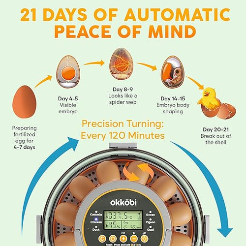12 Egg Incubator with Automatic Egg Turning and Humidity Control – Temperature Adjustment – incubators for Hatching Eggs – Built-in Egg Candler – Incubadora de Huevos de Gallina – Easy to Use - Image 2