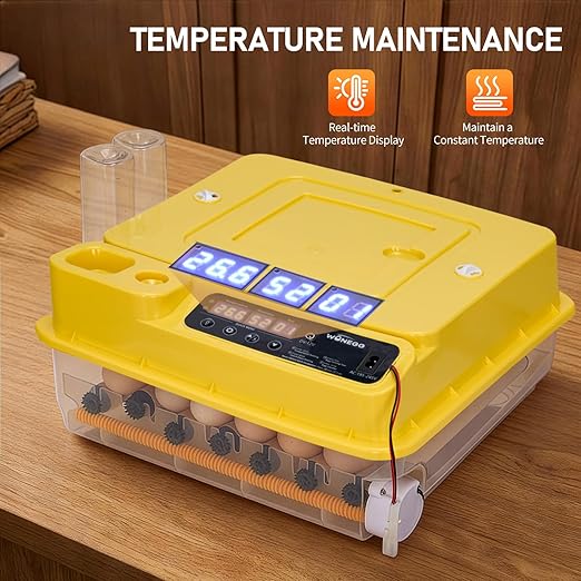 Winado Incubators for Hatching Eggs, 30 Egg Incubator with Automatic Egg Turning, Temperature & Humidity Control, Egg Candler, Automatic Water Filling and Day Counter for Eggs Hatching - Image 2
