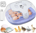 16 Egg Incubator with Automatic Egg Turning and Humidity Control,360 Degree View with Clear Window, Incubators for Hatching Eggs, Chicken, Ducks, Goose, Pigeon, Quail, Parrot by Unknown
