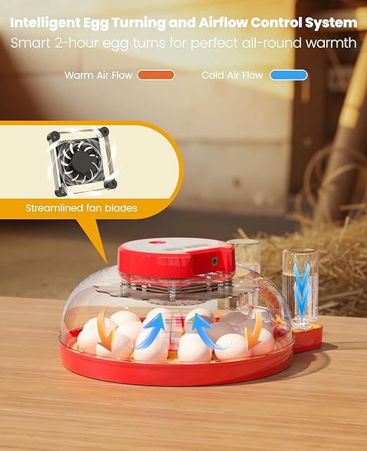 18 Incubators for Hatching Eggs with Automatic Egg Turning and Humidity Control Automatic Water Refill,Egg Candler Nature Right 360 Incubator Duck Quail Chick Turkey Hatching Incubator - Image 7