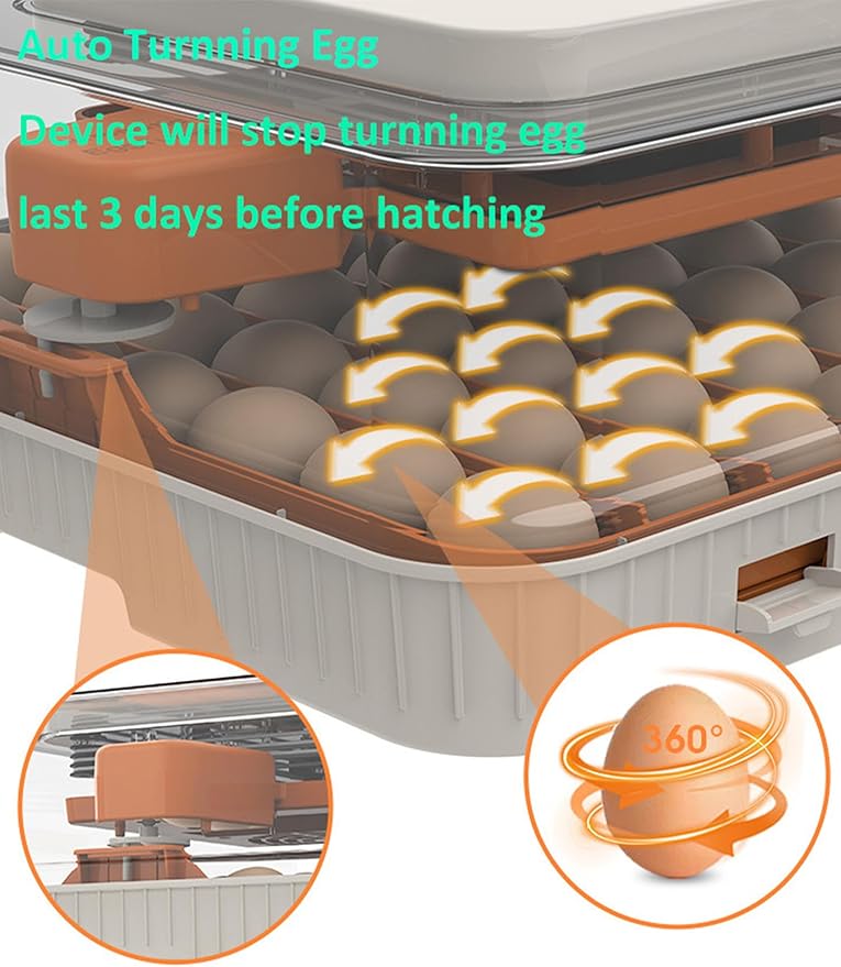 Egg Incubator for Hatching Eggs, Intelligent 56 Eggs Incubator with Temperature & Humidity Control, Automatic Egg Turning, Hatch Days & Egg Candler, Adjustable - Image 6