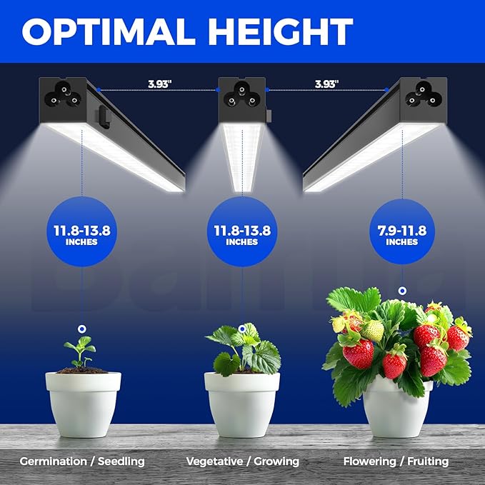 Barrina T5 Plant Lights for Indoor Growing, 1FT 10W (2 X 5W) Led Grow Light with Magnetic Design, Full Spectrum Grow Light Strip with Black Cover, Plug and Play, 5000K, 2 Packs - Image 6