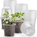 60 Pack Clear Nursery Pots with Humidity Domes, 4 Inch Plastic Plant Pots with Drainage Holes for Seedlings, Transparent Seed Starting Pot for Cuttings Propagation Indoor Gardening by RooTrimmer