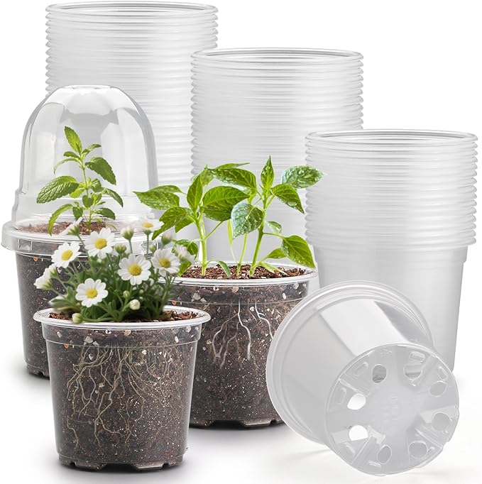 60 Pack Clear Nursery Pots with Humidity Domes, 4 Inch Plastic Plant Pots with Drainage Holes for Seedlings, Transparent Seed Starting Pot for Cuttings Propagation Indoor Gardening by RooTrimmer