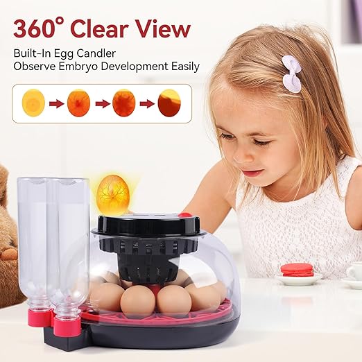 12 Egg Incubators for Hatching Eggs, Chicken Egg Incubator with Automatic Egg Turning and Temperature Humidity Control, 360° Clear View Lid or Home, Farm, Classroom, Hatching Chicken, Duck,Quail,Goose - Image 5