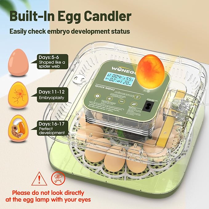 12 Egg Incubator with Automatic Egg Turning and Humidity Control, LED Egg Candling Light, Customized Incubation Days, Incubators for Hatching Eggs, Chicken Quail Parrot Pigeon Birds, Green - Image 5