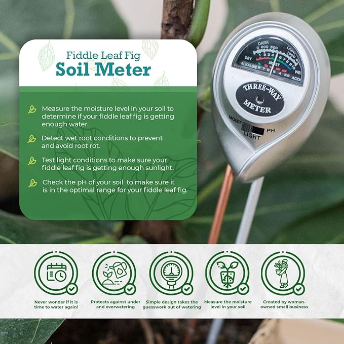 Houseplant Resource Center Fiddle Leaf Fig 3-in-1 Soil Moisture Meter for Plants – Best Indoor Plant Water Meter for Potted Houseplants - Light & Moisture Sensor Probe for Optimal Growth - Image 3