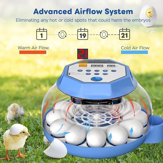 Incubator for Hatching Eggs12-24 Egg Capacity, Automatic Egg Turner, Temperature & Humidity Control, 360° Viewing for Chicken, Duck and Quail Eggs, Birds (E12 New) - Image 3