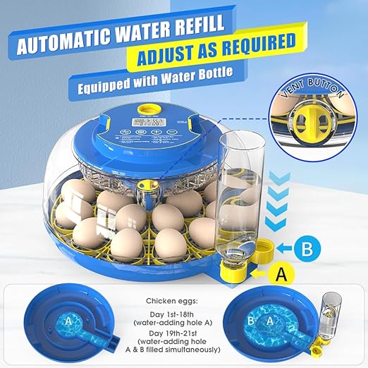 incubators for hatching eggs，18 Egg Incubator,egg incubator with automatic egg turning and humidity control，incubator for chicken eggs，chicken incubators for hatching eggs，quail egg incubator - Image 4