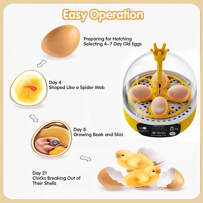 4 Eggs Mini Incubator with Transparent Lid,7W Automatic Temperature Humidity Control,Household Small Poultry Hatching Machine,for Chickens Ducks Pigeons (Auto Turning) - Image 4