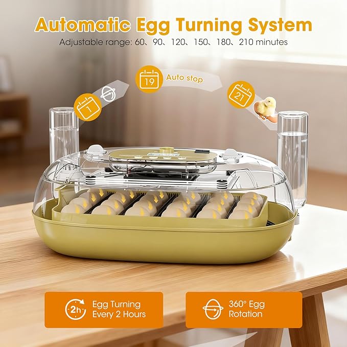 24 Egg Incubator for Hatching Eggs, Automatic Egg Turning, Temperature & Humidity Control, Egg Candler, for Hatching Chicken, Duck, Quail, Goose - Ideal for Farm, Classroom, Home Use - Image 5