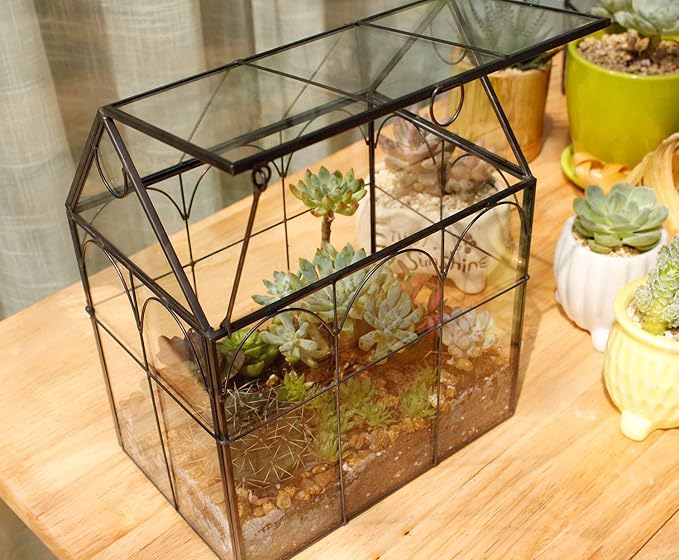 ELEGANTLIFE Glass Geometric Plant Terrarium,Succulent & Air Planter for Home Garden Office Decoration (Black House) - Image 5