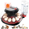 12 Egg Incubators for Hatching Eggs Automatic Egg Incubator with Temperature Control Humidity Control and Display for Chicken Duck Quail Eggs Auto Turner, Black red by ZtexkeeHomeFurniture