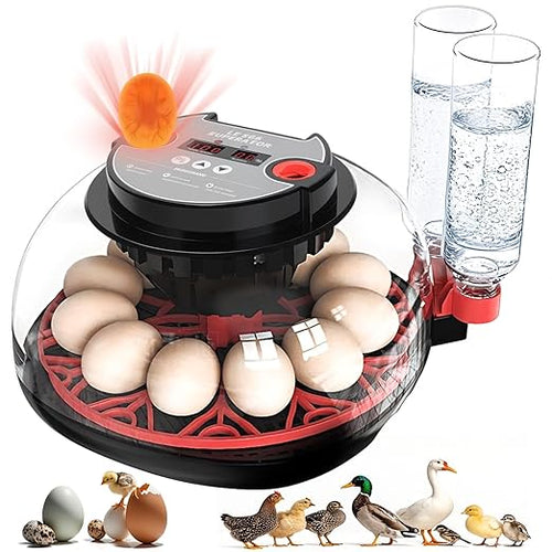 12 Egg Incubators for Hatching Eggs Automatic Egg Incubator with Temperature Control Humidity Control and Display for Chicken Duck Quail Eggs Auto Turner, Black red by ZtexkeeHomeFurniture
