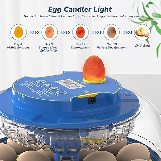 Incubator for Hatching Eggs with Automatic Egg Turning & Temperature/Humidity Control, 18 Egg Incubator for Chicken/Quail/Duck/Goose Eggs - Image 3