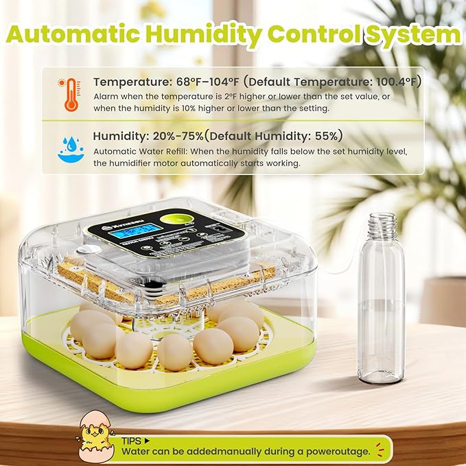 Egg Incubators for Hatching Eggs, 12 Egg Incubator with Automatic Egg Turning and Humidity Control, Incubator for Chicken/Quail/Duck Eggs with Temperature Control/LED Egg Candler, 360 Degree View - Image 2
