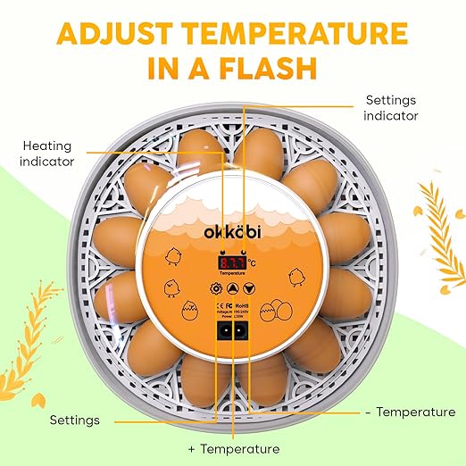 Okkobi M12 Egg Incubator with Automatic Turner and Humidity Control - 12/24 Eggs, 360° View, Easy to Use and Clean - Incubadora de Huevos de Gallina - Made for US - White & Orange - Image 2