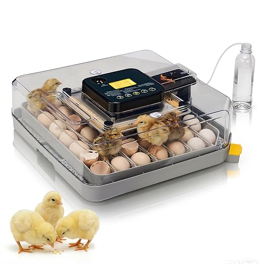 Winado Incubators for Hatching Eggs, 48 Egg Incubator with Automatic Egg Turning, Temperature & Humidity Control, Egg Candler, Automatic Water Filling and Day Counter for Eggs Hatching by Winado