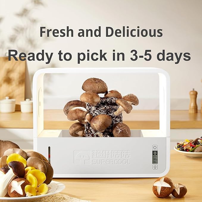 Mushroom Growing Tent, Intelligent Mushroom Growing Kit with Temperature & Humidity Display for Mushroom Lovers, Mycology Fume Hood Propagation Stations for Indoor Mushroom Growers - Image 5