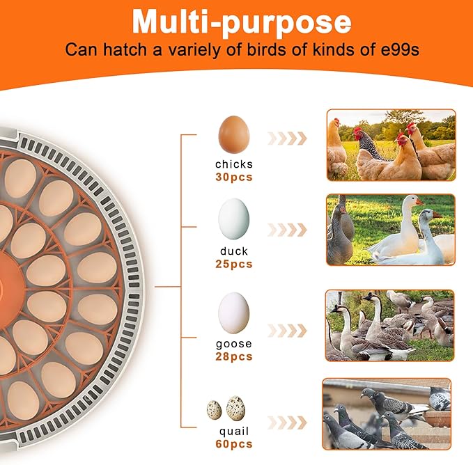 30 Egg Incubator with Automatic Egg Turning and Humidity Control,360 Degree View with Clear Window, Incubators for Hatching Eggs, Chicken, Ducks, Goose, Pigeon, Quail, Parrot - Image 4