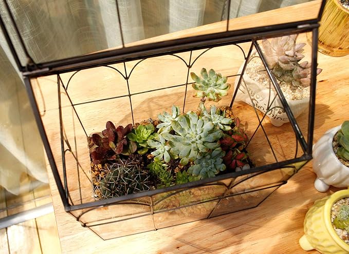 ELEGANTLIFE Glass Geometric Plant Terrarium,Succulent & Air Planter for Home Garden Office Decoration (Black House) - Image 6