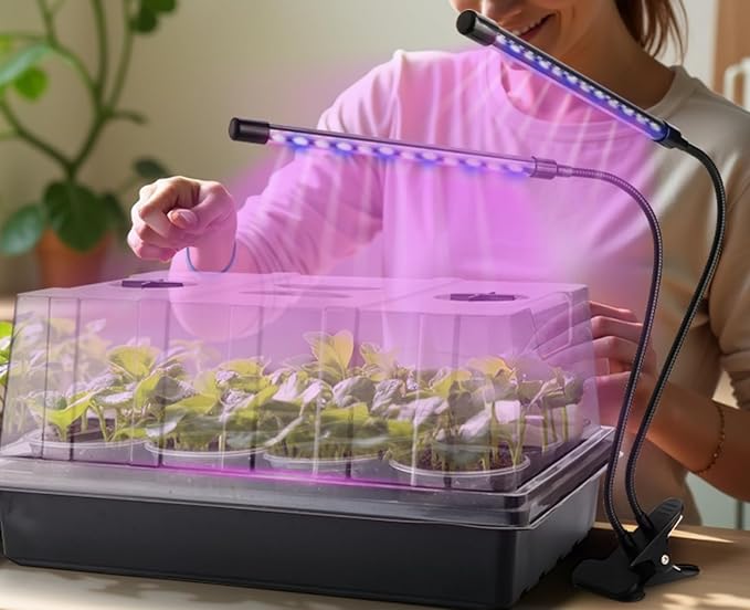 50p 3.5" Clear Nursery Pots with 4p Trays and 2p Adjustable LED Grow Lights – Transparent Plant Pots with Drainage Holes, Complete Seed Starter Kit with 5" Tall Humidity Dome for Plant Propagation - Image 2