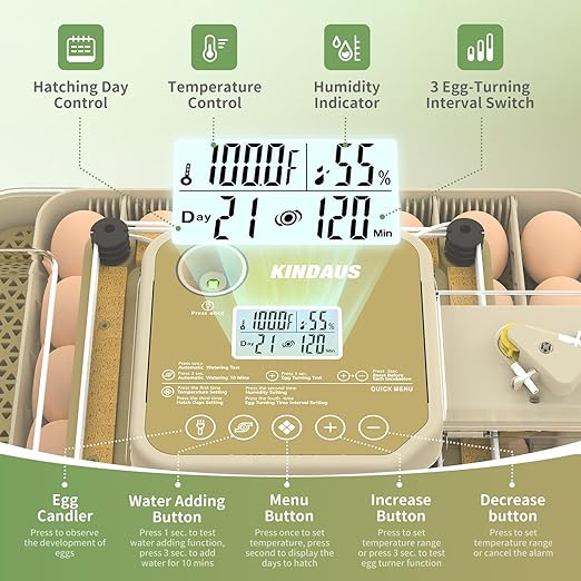 Egg Incubators for Hatching Eggs, Egg Incubator with Automatic Egg Turning and Humidity Control, Quail Eggs Chicken Egg Incubator (48 Eggs) - Image 3