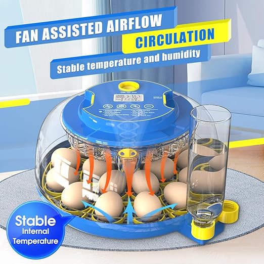 incubators for hatching eggs，18 Egg Incubator,egg incubator with automatic egg turning and humidity control，incubator for chicken eggs，chicken incubators for hatching eggs，quail egg incubator - Image 2