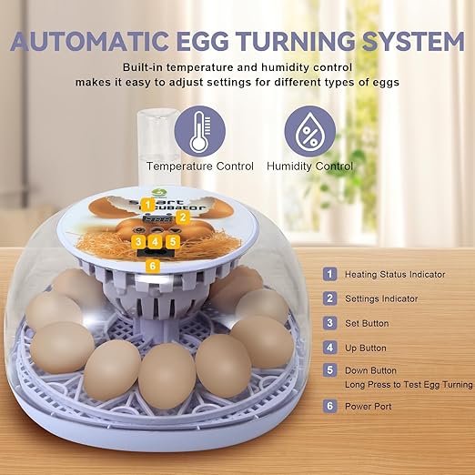 1st Gen - 12 Egg Automatic Incubator, Steady Humidity with Auto-Refill, Stable Temp Control, Auto Egg Turning, Candler, Real-Time Display for Hatching Chicken, Goose, Duck, Quail, Pigeon, and Turkey - Image 2