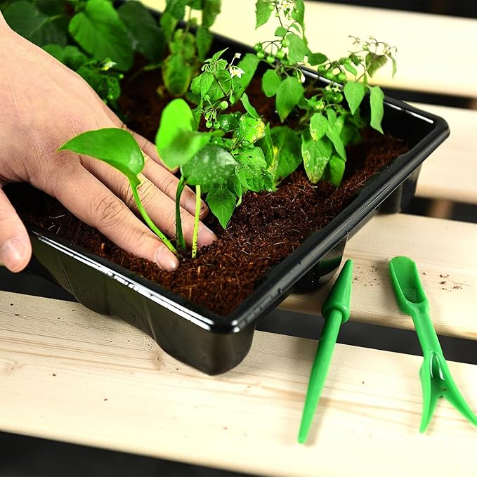 YoleShy 5 Packs Seed Starter Tray with Dome Reusable Plastic Plant Growing Trays with Humidity Domes Thickened Sturdy for Seed Starting Germination Growing Seedling Propagation,14.5"x9" - Image 5