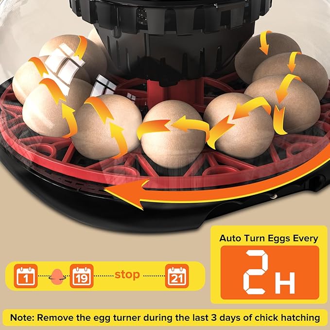 Incubator with Automatic Egg Turning and Humidity Control, Incubators for Hatching Eggs, Chicken, Ducks, Goose, Pigeon, Quail, Parrot Incubator for Farm, Lab, Science Classroom, Home - Image 5