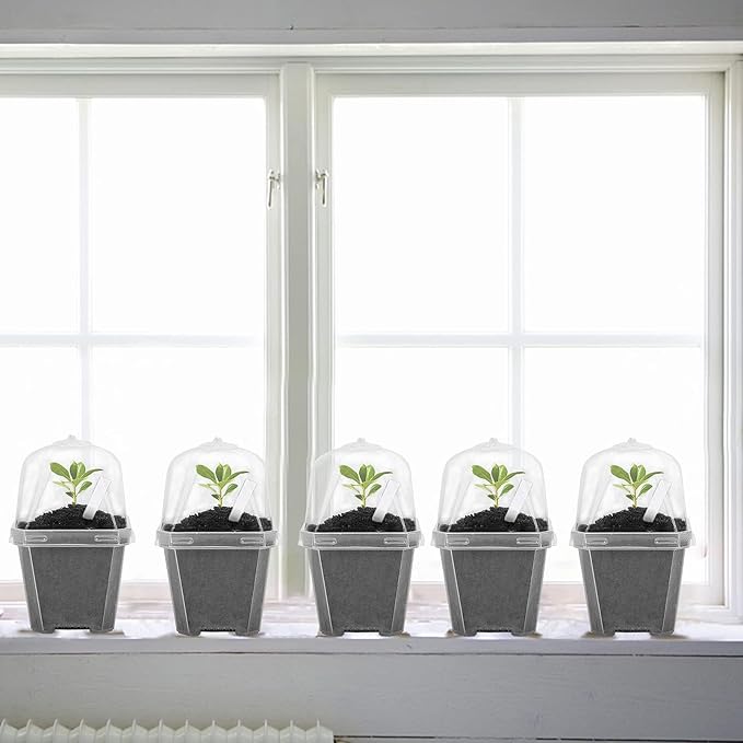 EBaokuup 50 Pcs Clear Plant Nursery Pots with Humidity Dome-3" Reusable Plastic Gardening Pot with Labels-Small Seed Starting Pots for Seedlings,Vegetables,Succulents,Cuttings - Image 4
