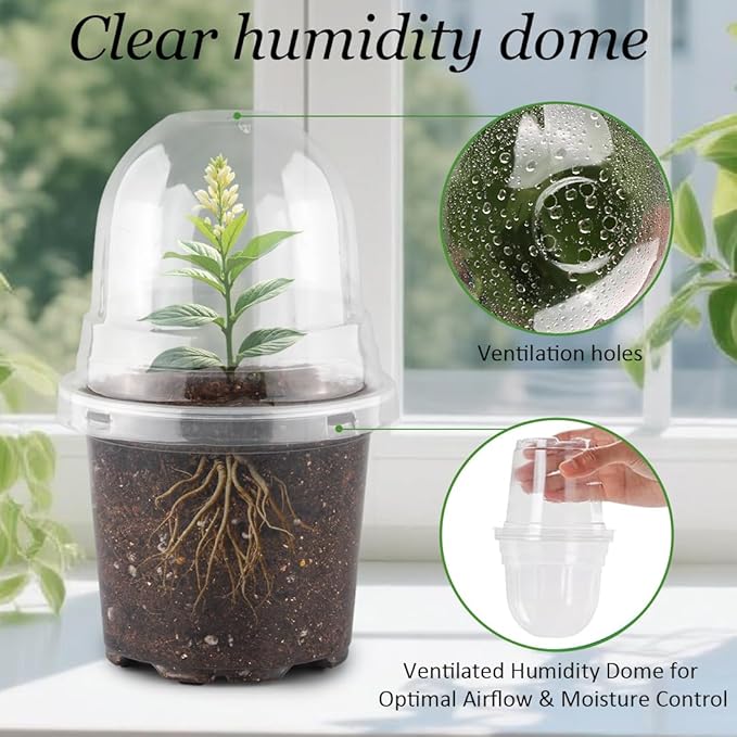 Transparent Nursery Pots 4Inch with Humidity Domes for Seeds Starting, Clear Plastic Plant Pots with Drainage Holes (4Inch, 30Pcs,Clear Pots with Lids) - Image 2