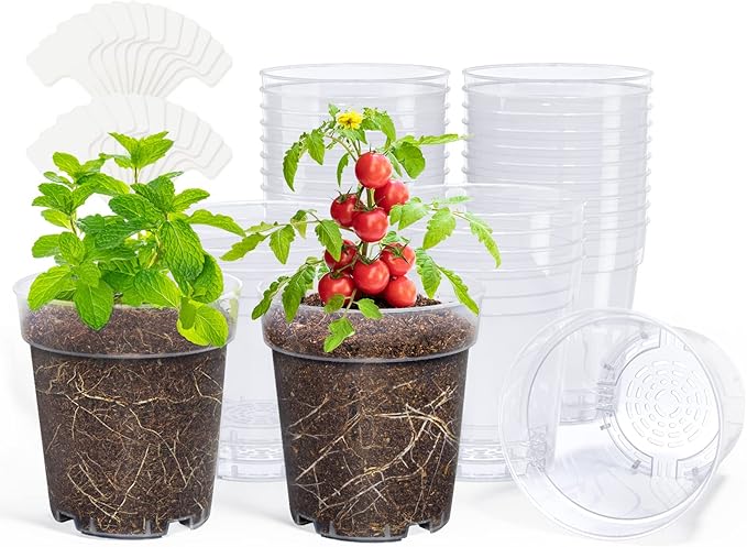 homenote Clear Nursery Pots for Plants,5 Inch Plant Pot for Planting Plastic Seedling with Drainage Holes Seed Starter Flower High Transparency with 20 Labels (30 Pack) by HOMENOTE