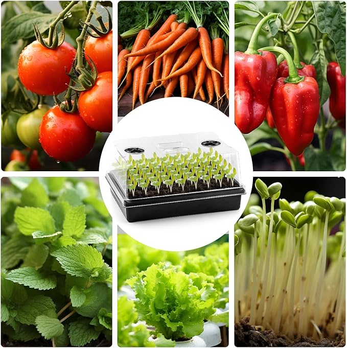 Seed Starter Tray with Grow Lights – 4 Pack Seedling Trays with 5" Humidity Domes & 4 LED Light Heads, Adjustable Timer, Full Spectrum for Indoor Germination, Herbs, Vegetables, Flowers - Image 8
