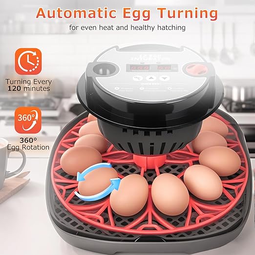 12 Egg Incubators for Hatching Eggs Automatic Egg Incubator with Temperature Control Humidity Control and Display for Chicken Duck Quail Eggs Auto Turner, Black red - Image 5