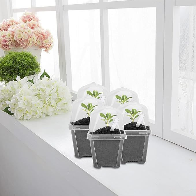 EBaokuup 10Pcs 4" Clear Plant Nursery Pots with Humidity Dome, Plastic Gardening Pot Plant Container, Seed Starting Pot with Drain Holes for Seedlings Vegetables Succulents Cuttings - Image 6