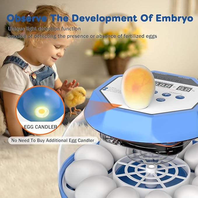 Incubator for Hatching Eggs12-24 Egg Capacity, Automatic Egg Turner, Temperature & Humidity Control, 360° Viewing for Chicken, Duck and Quail Eggs, Birds (E12 New) - Image 6
