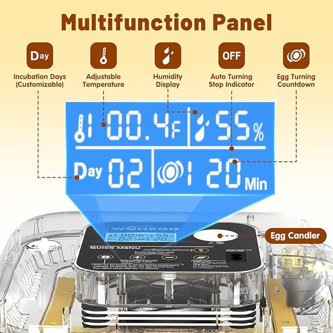 Incubator for Hatching Eggs, 12 Eggs Incubator with Automatic Egg Turning, Temperature & Humidity Control, LED Egg Candler, Incubation Days Display, for Chicken, Duck, Quail, Parrot Bird Eggs - Image 6