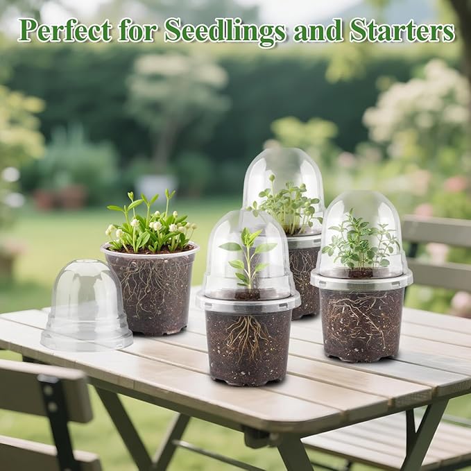 60 Pack Clear Nursery Pots with Humidity Domes, 4 Inch Plastic Plant Pots with Drainage Holes for Seedlings, Transparent Seed Starting Pot for Cuttings Propagation Indoor Gardening - Image 7