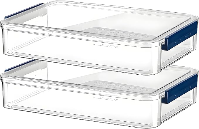 2 Pcs Plastic Portable Project Case, Clear Stackable Storage Boxes Organizer for A4 Files, Scrapbooks, Art Supplies (‎Blue Latch, Large) by RHONZHAO
