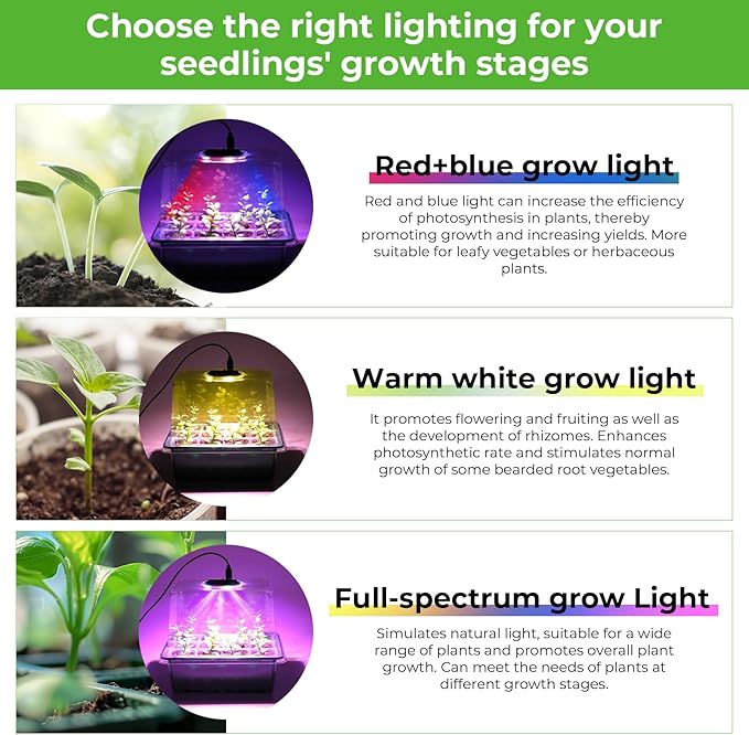 Seed Starter Tray with Grow Light, 6pcs Seed Starter Kits with Light and Humidity Domes, Timing Controller & Adjustable Brightness & 3 Light Mode, Indoor Seedling Starter Plant Germination Trays - Image 4
